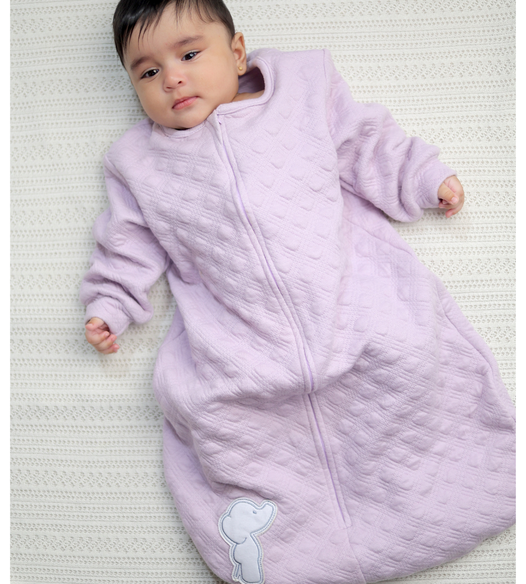 little elephant sleeper Lilac