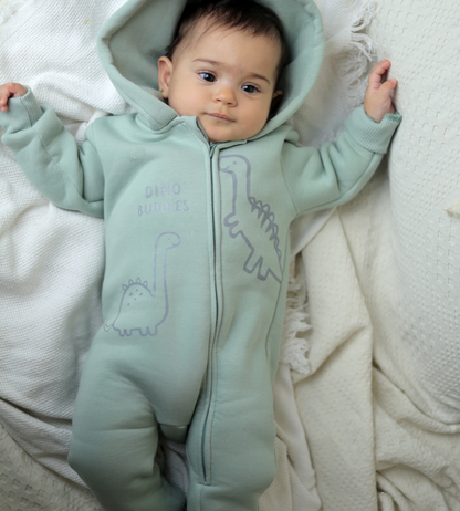 Dino Buddies Onesie