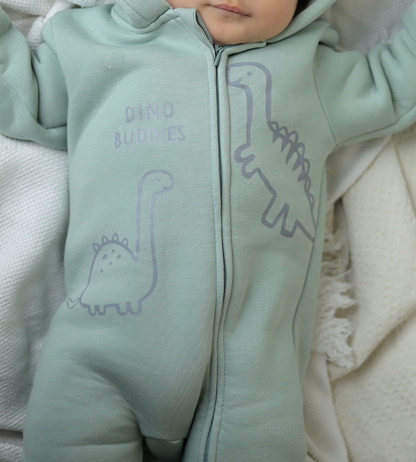 Dino Buddies Onesie
