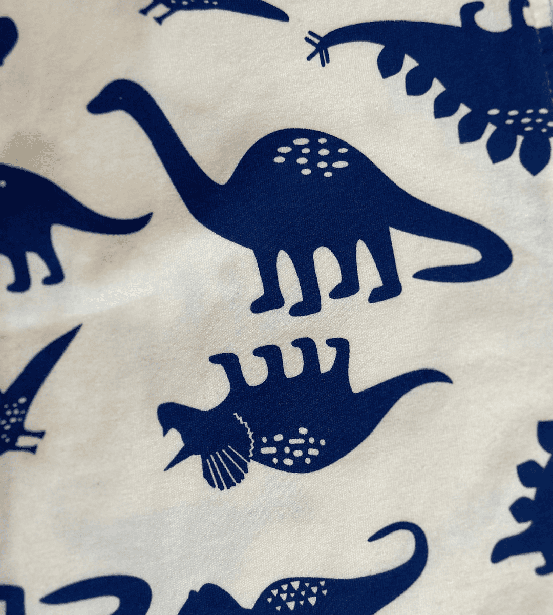 Dino Zip-up Romper